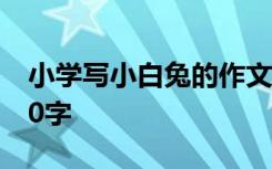 小学写小白兔的作文 小学生写小白兔作文400字