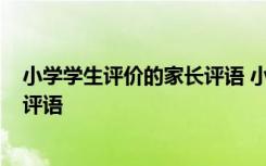 小学学生评价的家长评语 小学生评语家长意见怎么写-家长评语