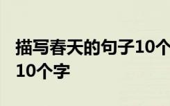 描写春天的句子10个字10句 描写春天的句子10个字