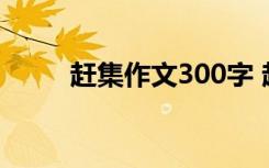 赶集作文300字 赶年集作文300字