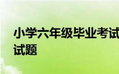 小学六年级毕业考试题目 小学六年级毕业考试题