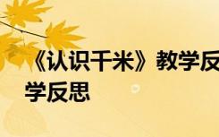 《认识千米》教学反思简短 《认识千米》教学反思