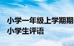 小学一年级上学期期未评语 一年级期未评语-小学生评语