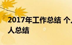 2017年工作总结 个人工作总结 2017年度个人总结