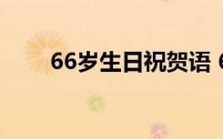 66岁生日祝贺语 66岁生日经典贺词