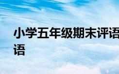 小学五年级期末评语评语大全 五年级学生评语