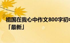 祖国在我心中作文800字初中作文 祖国在我心中作文800字「最新」