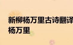 新柳杨万里古诗翻译 新柳原文翻译以及赏析杨万里