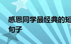 感恩同学最经典的短句 适合用于感恩同学的句子