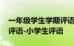 一年级学生学期评语怎么写 一年级学生期终评语-小学生评语