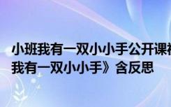 小班我有一双小小手公开课视频 幼儿园小班主题活动教案《我有一双小小手》含反思