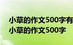 小草的作文500字有人喜欢国色天香的牡丹 小草的作文500字