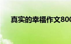 真实的幸福作文800字 真实的幸福作文