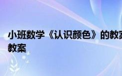 小班数学《认识颜色》的教案 《认识颜色》幼儿园小班数学教案