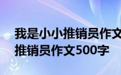 我是小小推销员作文500字说明文 我是小小推销员作文500字