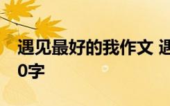 遇见最好的我作文 遇见最好的你初中作文600字