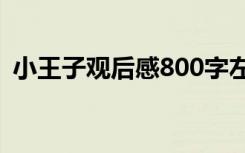 小王子观后感800字左右 观《小王子》有感