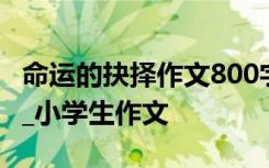 命运的抉择作文800字 命运的抉择作文400字_小学生作文