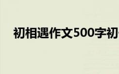 初相遇作文500字初一 初相遇700字作文