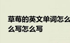 草莓的英文单词怎么拼写 草莓的英文单词怎么写怎么写