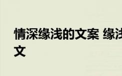 情深缘浅的文案 缘浅情深情非得已的网络散文