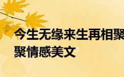 今生无缘来生再相聚这首歌 今生无缘来生再聚情感美文