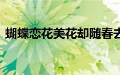 蝴蝶恋花美花却随春去春回是什么歌 蝴蝶恋