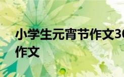 小学生元宵节作文300字左右 小学生元宵节作文