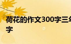 荷花的作文300字三年级下册 荷花的作文300字