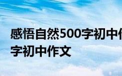 感悟自然500字初中作文怎么写 感悟自然500字初中作文