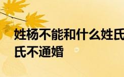 姓杨不能和什么姓氏通婚 中国历史上哪些姓氏不通婚