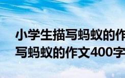 小学生描写蚂蚁的作文400字左右 小学生描写蚂蚁的作文400字