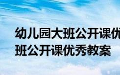 幼儿园大班公开课优秀教案及ppt 幼儿园大班公开课优秀教案