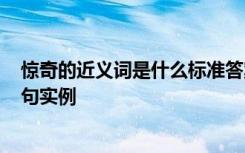 惊奇的近义词是什么标准答案? 惊奇的词语解释近义词及造句实例