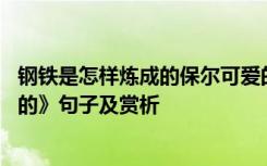 钢铁是怎样炼成的保尔可爱的句子有哪些 《钢铁是怎样炼成的》句子及赏析