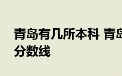 青岛有几所本科 青岛有什么本科大学以及的分数线