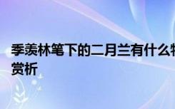 季羡林笔下的二月兰有什么特点 季羡林散文《二月兰》原文赏析