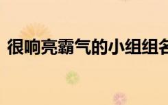 很响亮霸气的小组组名 霸气小组组名和口号