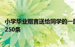 小学毕业赠言送给同学的一段话 小学毕业赠同学的毕业赠言250条