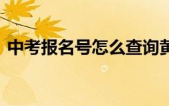 中考报名号怎么查询黄冈 中考报名号怎么查