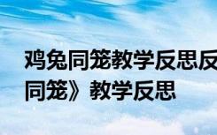 鸡兔同笼教学反思反思百度文库 数学《鸡兔同笼》教学反思