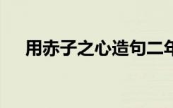 用赤子之心造句二年级 用赤子之心造句