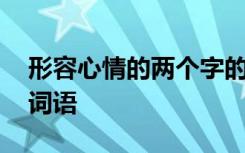 形容心情的两个字的词语有哪些 心情的两字词语