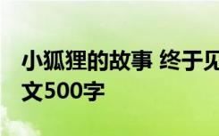 小狐狸的故事 终于见到她了 小狐狸的故事作文500字