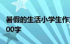 暑假的生活小学生作文 暑假生活小学生作文300字