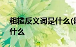 粗糙反义词是什么(最佳答案) 粗糙反义词是什么