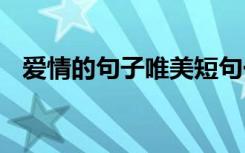 爱情的句子唯美短句一生一世 爱情的句子