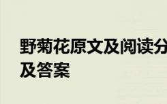 野菊花原文及阅读分析 《野菊花》阅读练习及答案