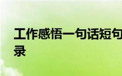 工作感悟一句话短句 工作感悟一句话经典语录