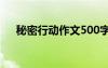 秘密行动作文500字左右 秘密行动作文